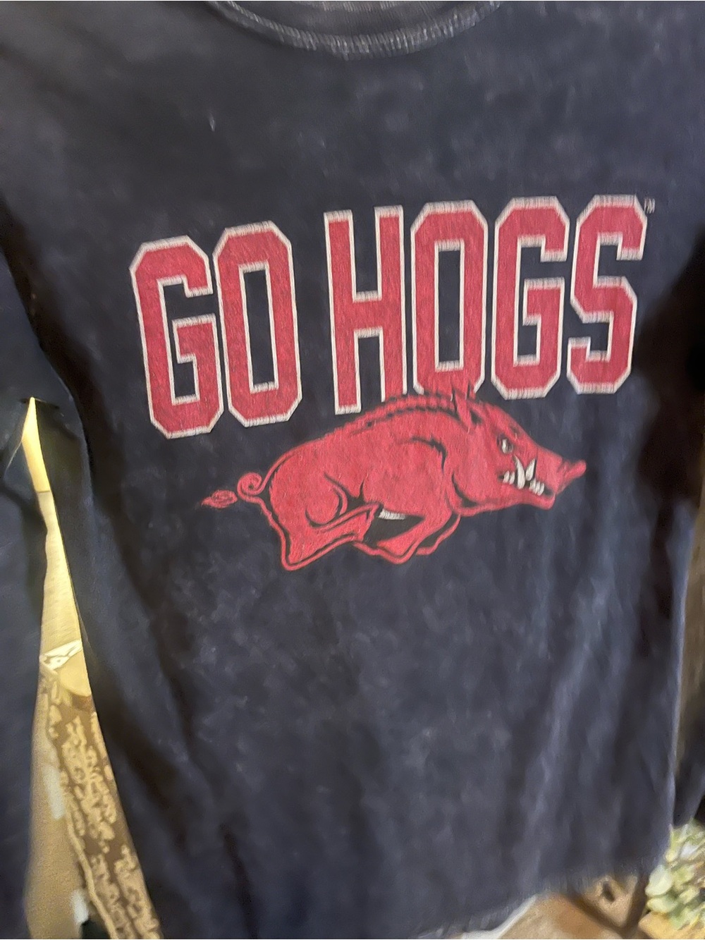 HOGS - Picture 2 of 3